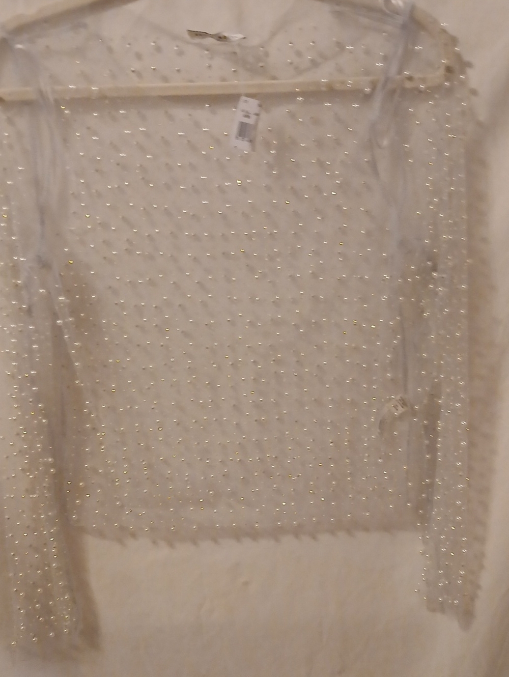 Haute Monde Sheer Cream Long-Sleeve Pearl Embellished Top